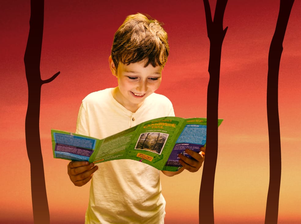 Roald Dahl Countryside Trail